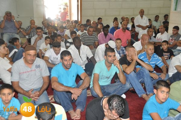 bazsalah lud 712 (63).JPG